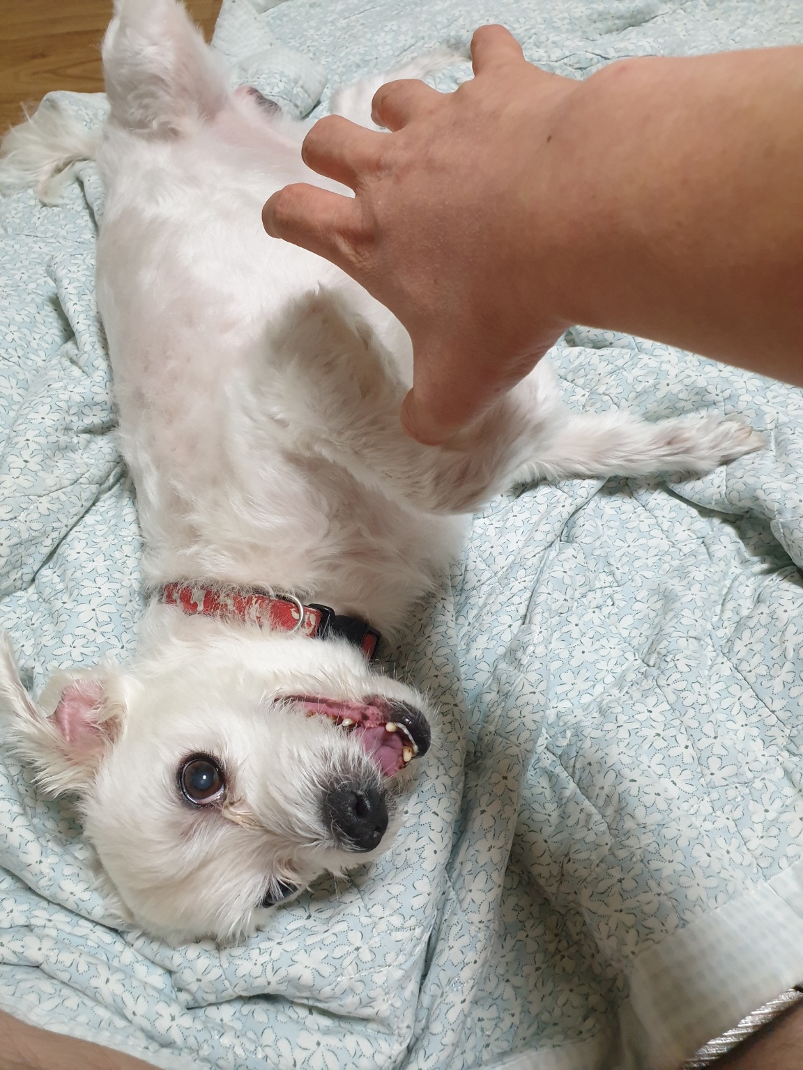 260130 부평 돌쇠.jpg