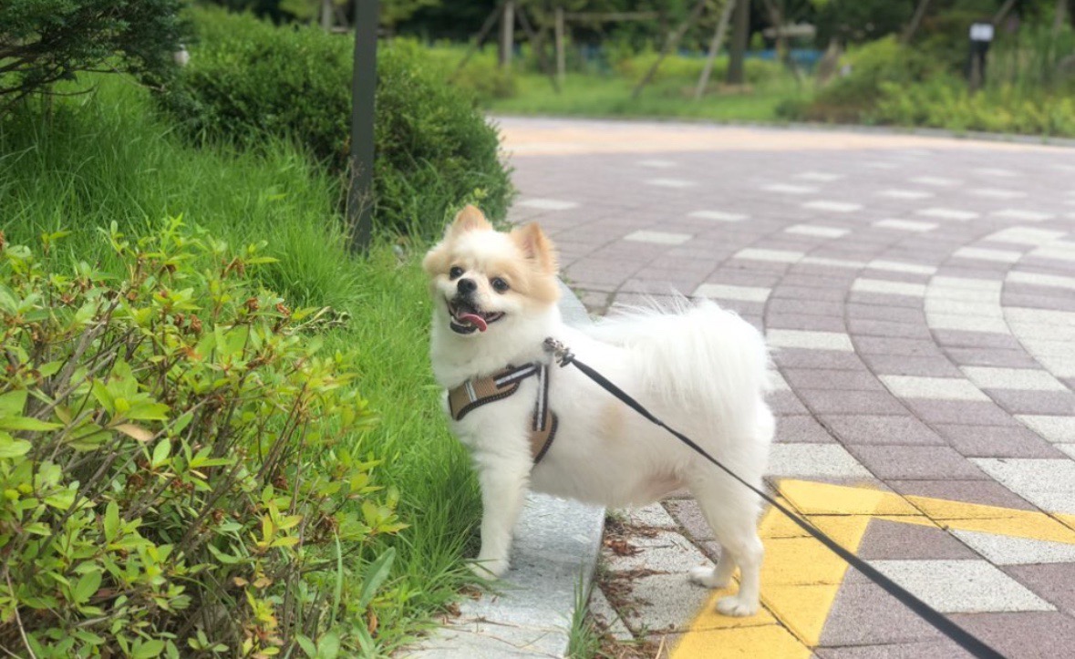 260201 시흥 뽀야.jpg