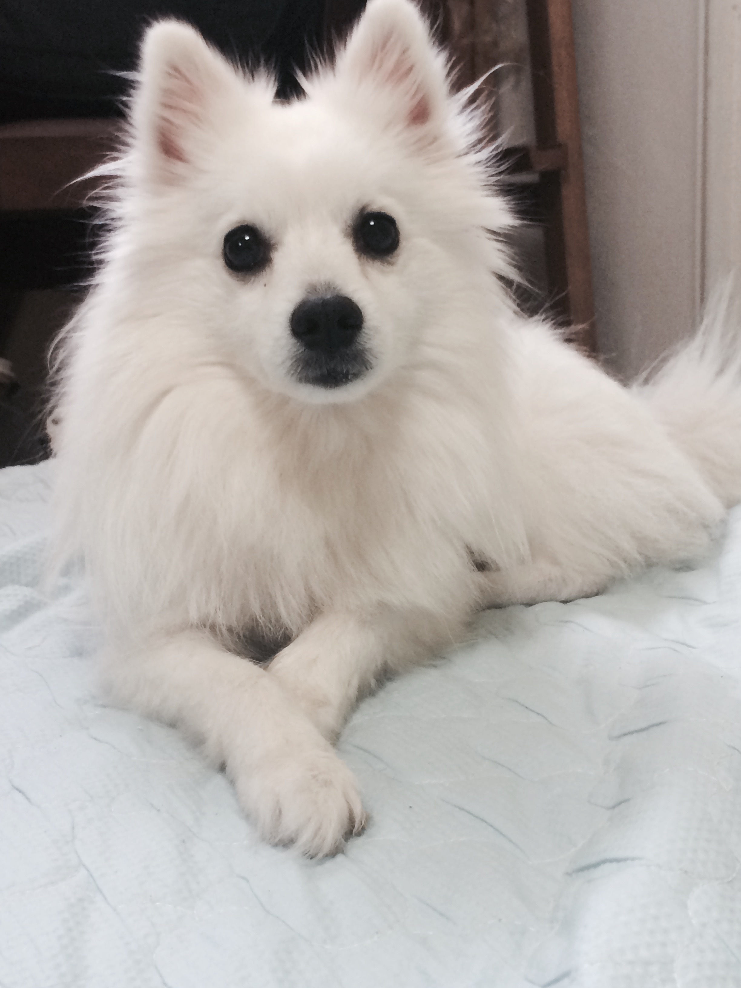 260202 시흥 콩이.jpg