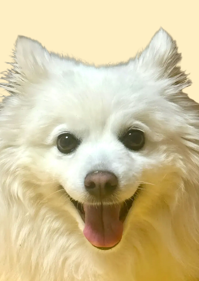 260201 시흥 목화.jpg