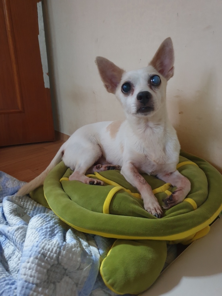 260206 미추홀구 오순돌이.jpg