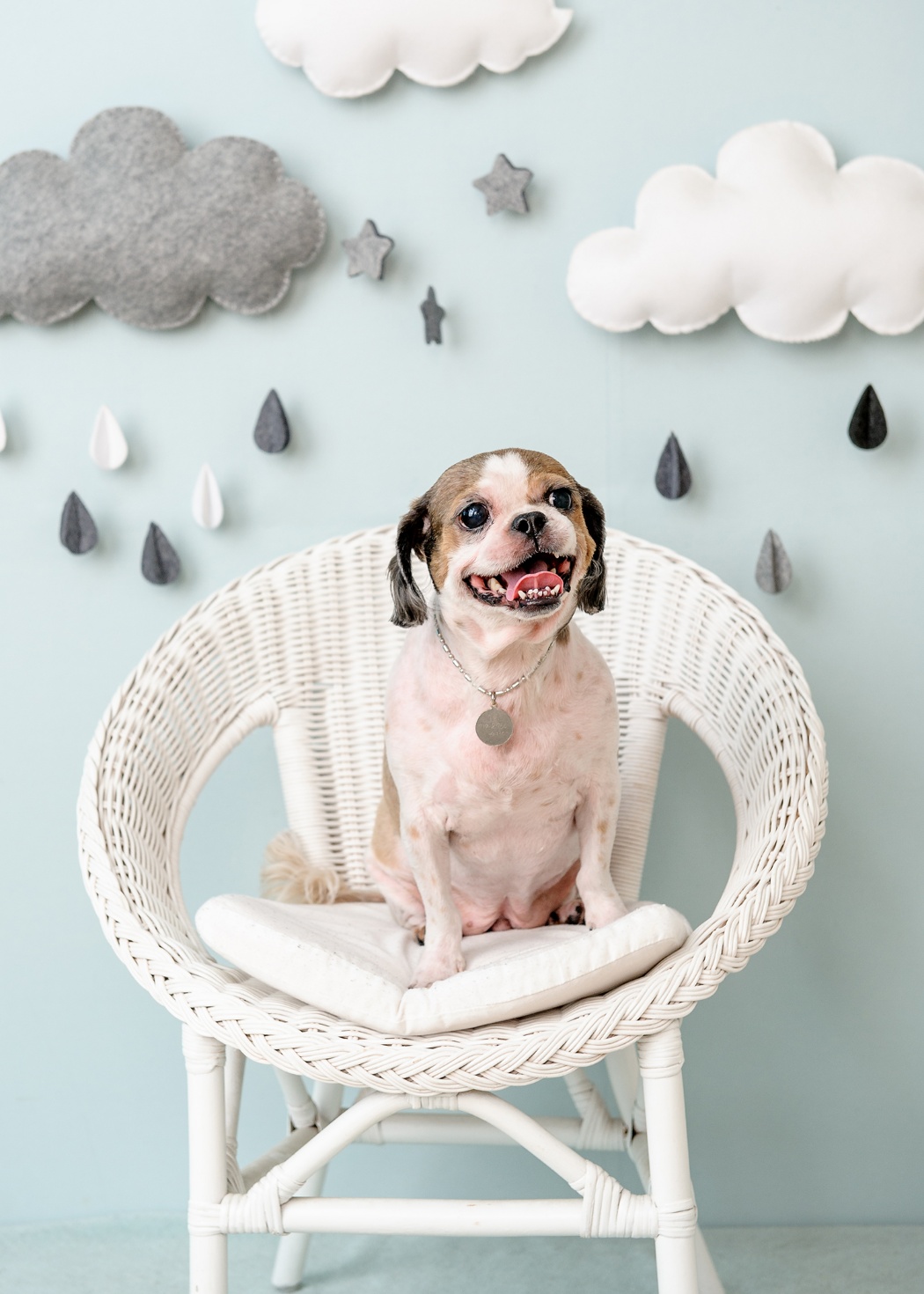 260206 부평 재롱이.jpg