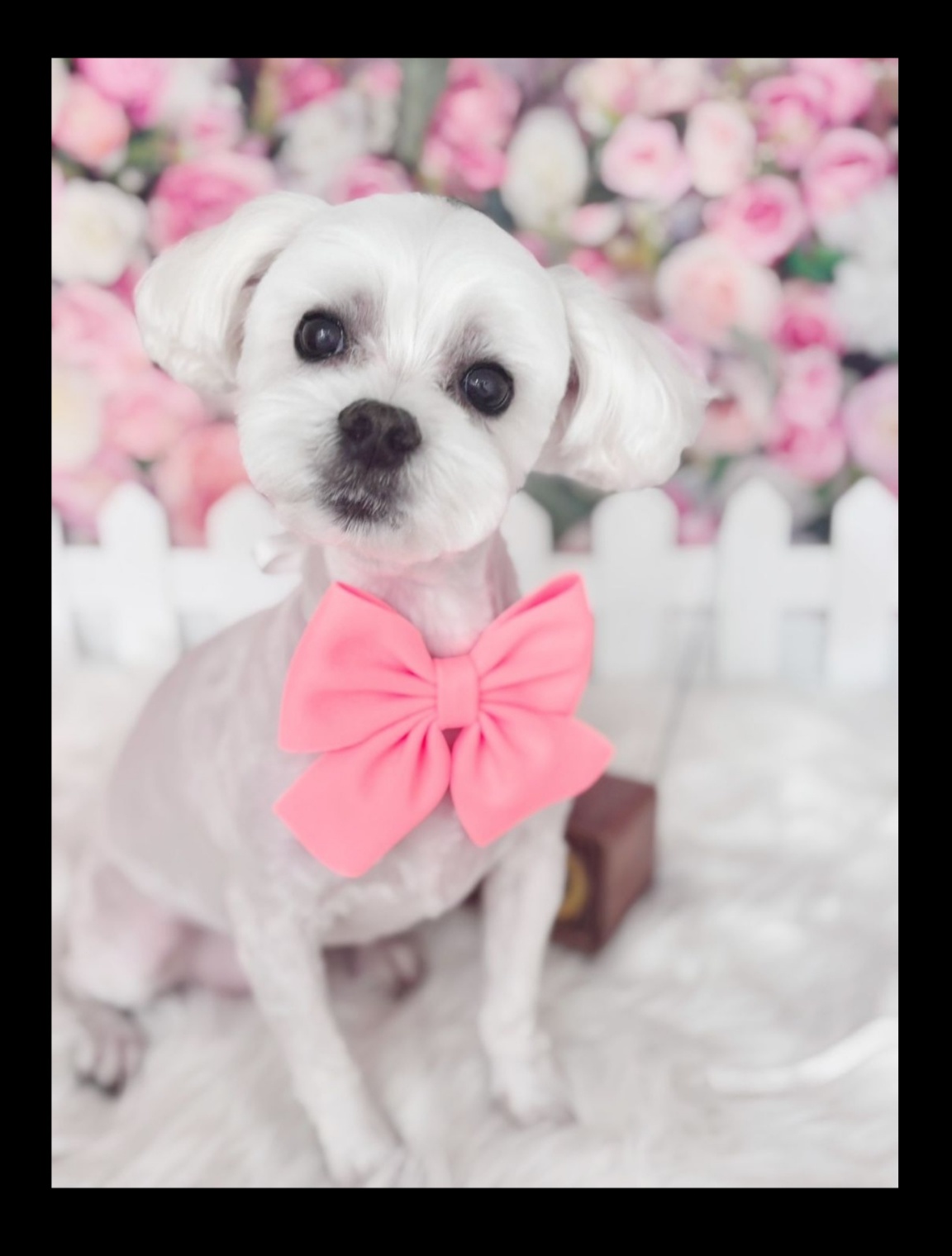 260206 부평 카스.jpg