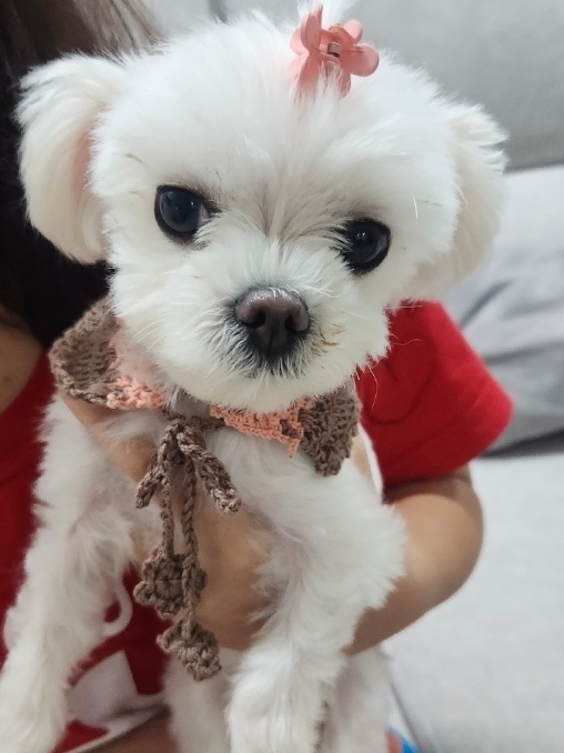 260207 시흥 연유.jpg