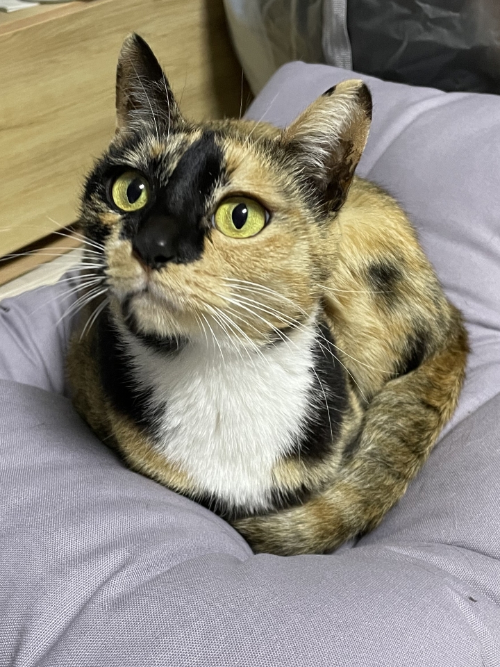 260208 시흥 마틸다.jpg