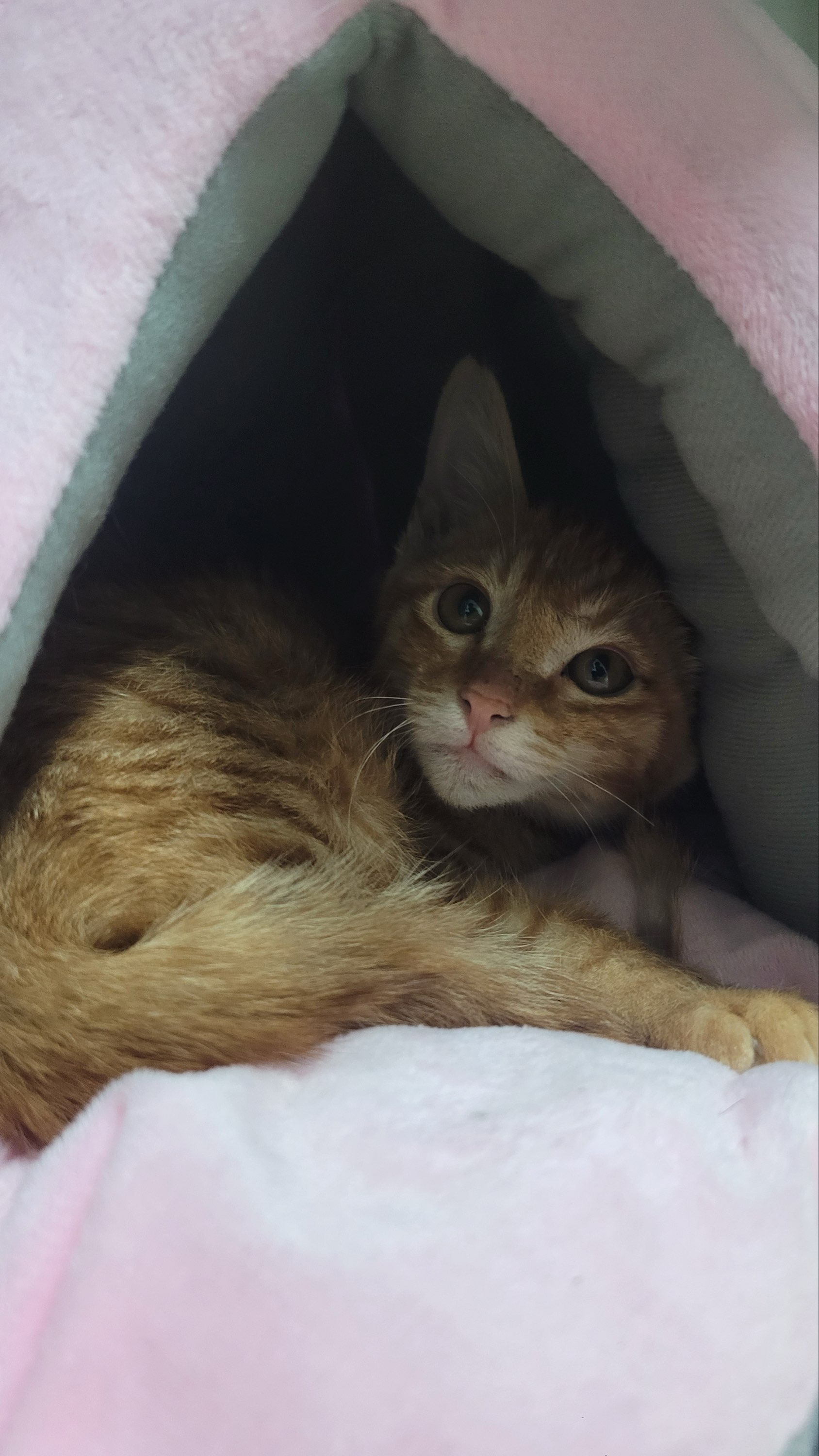 260211 금천구 버터.jpg