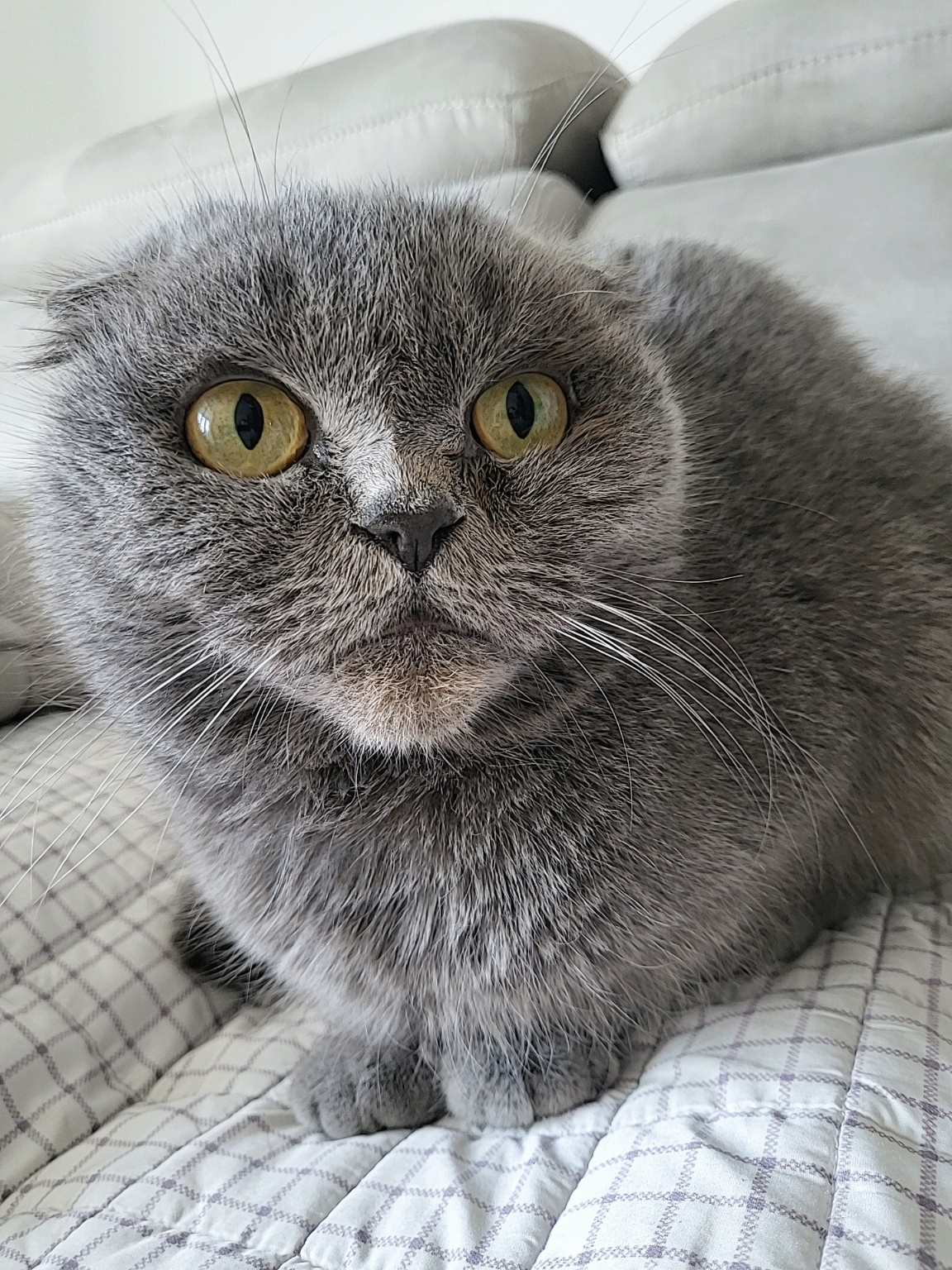 260211 부평 요미.jpg