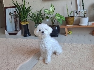 260212 영등포 육재.jpg