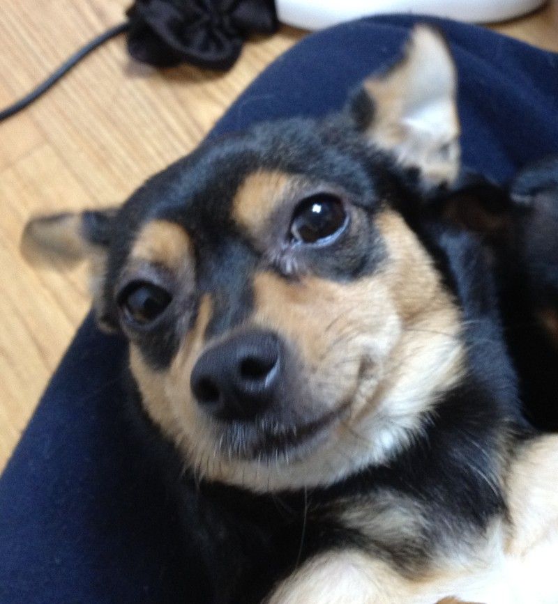 260214 구로 까미.jpg