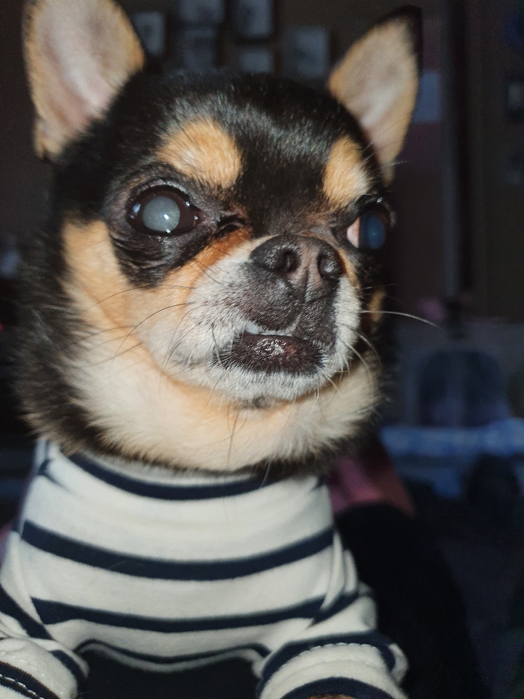 260214 서초구 깍찌.jpg