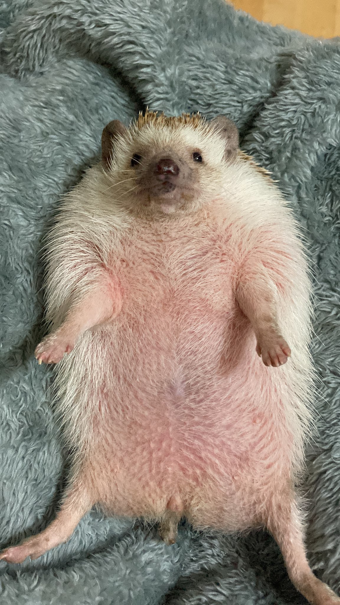 260217 안양 말이.jpg