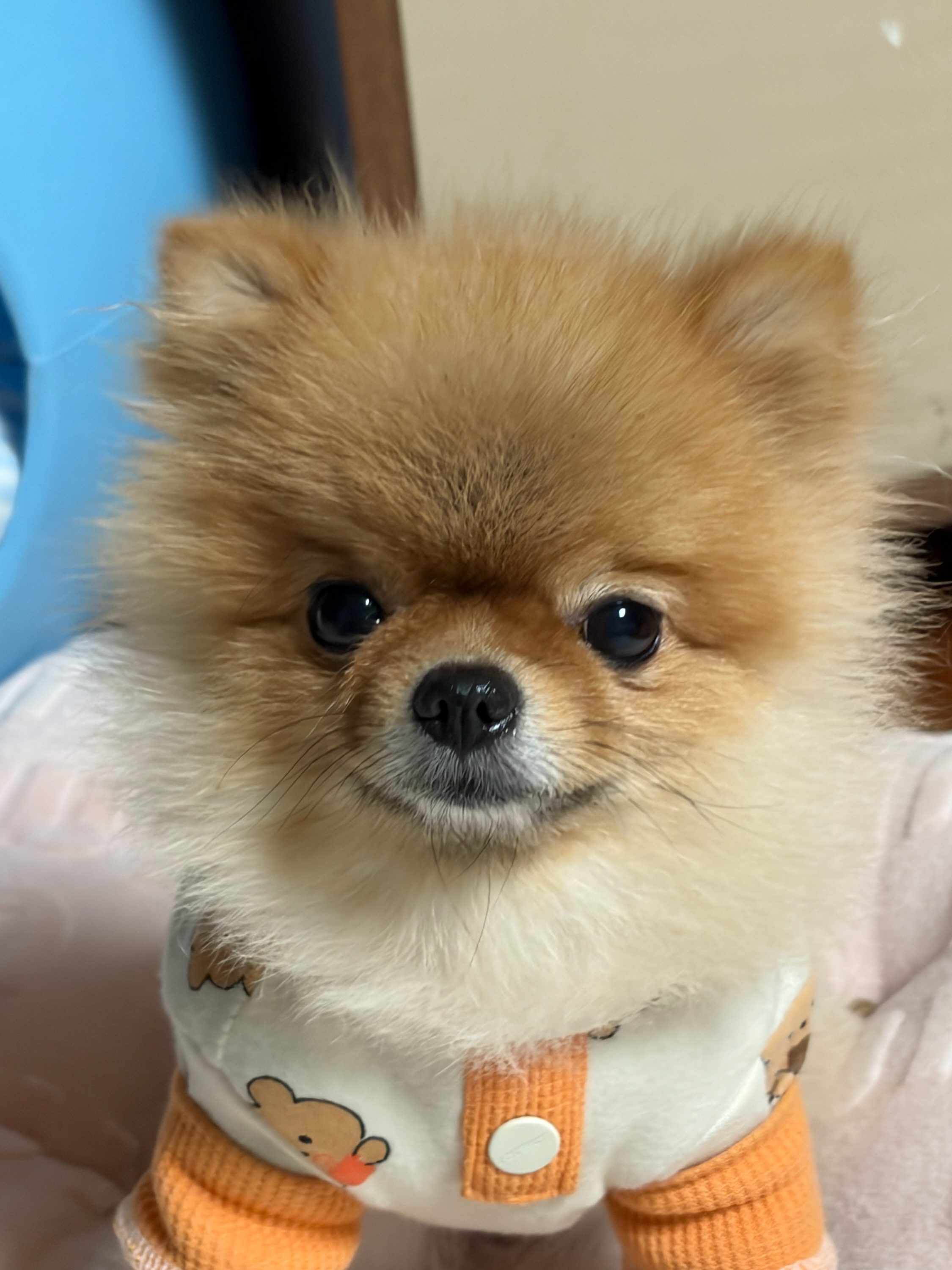 260219 부천_싸리.jpg