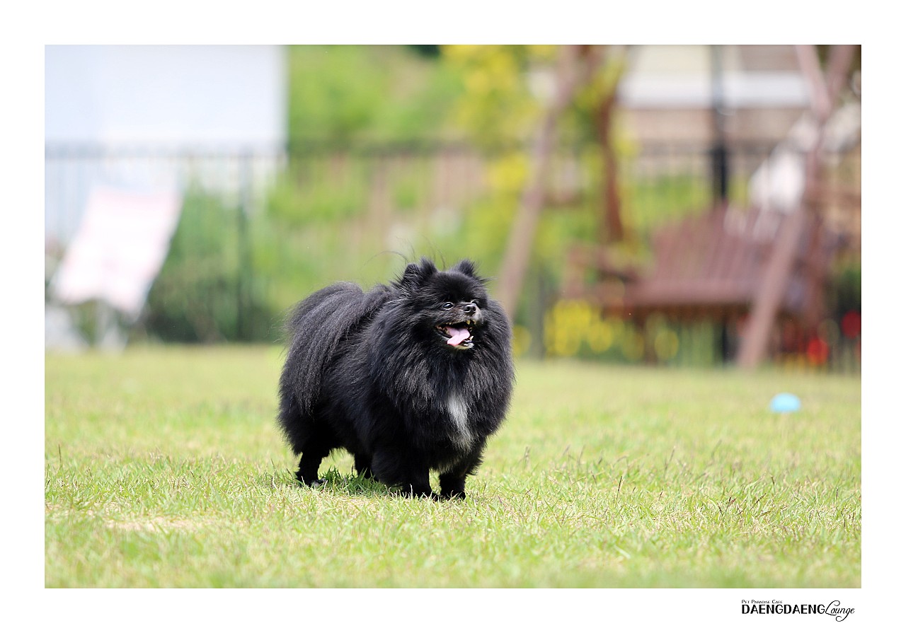 260223 시흥 레오.jpg