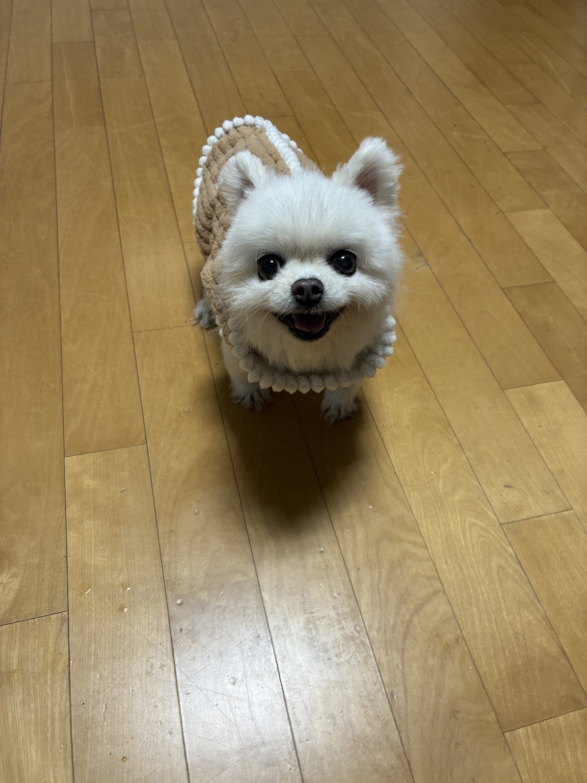 260209 만수동 꼼지.jpg