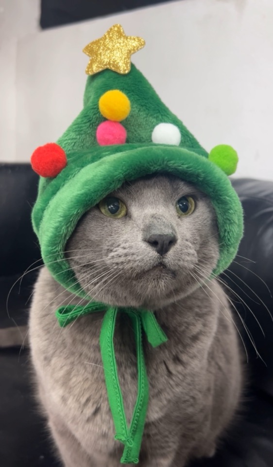 260212 안양 호미.jpg