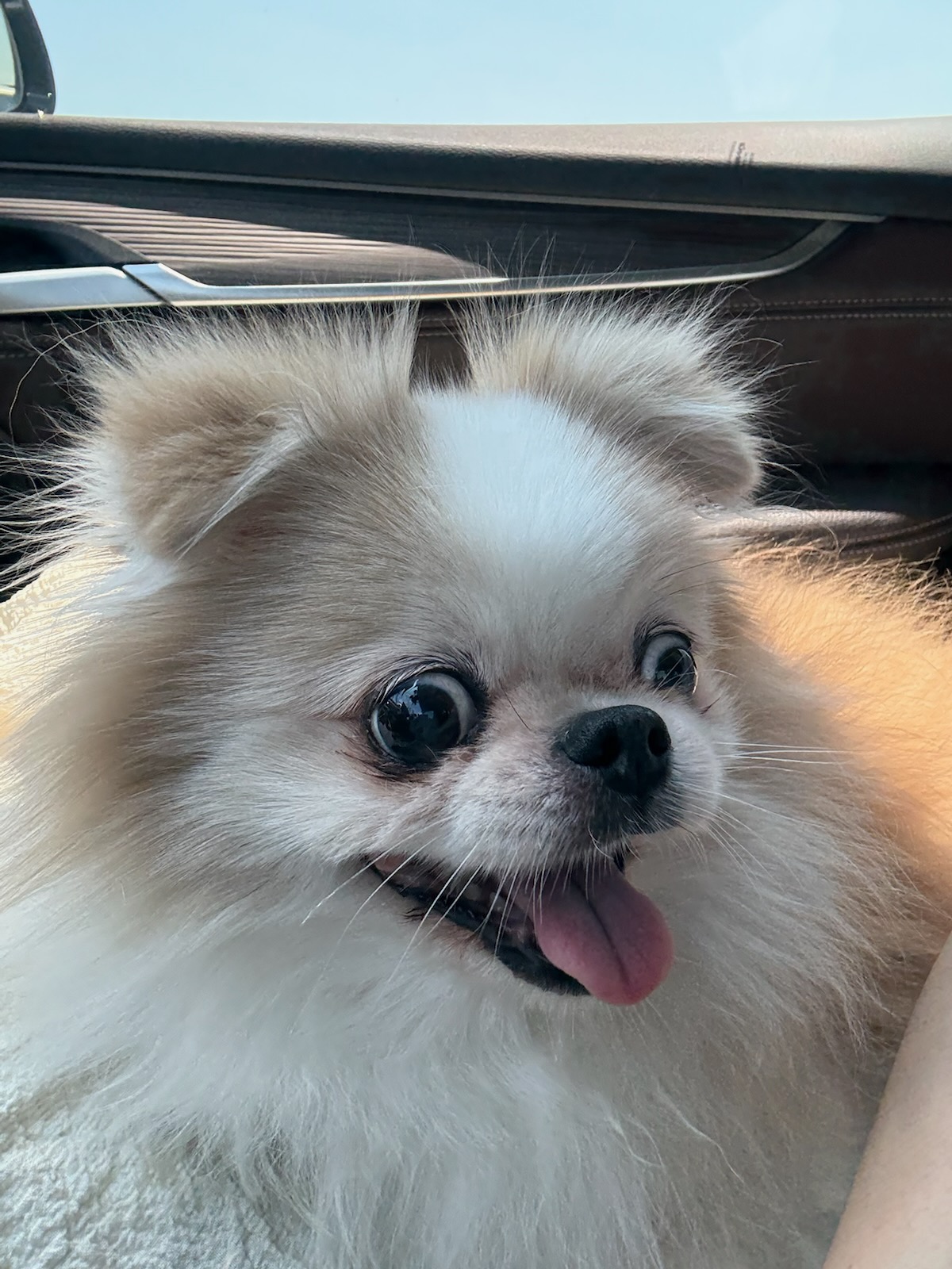 260217 성북구 노마.jpg