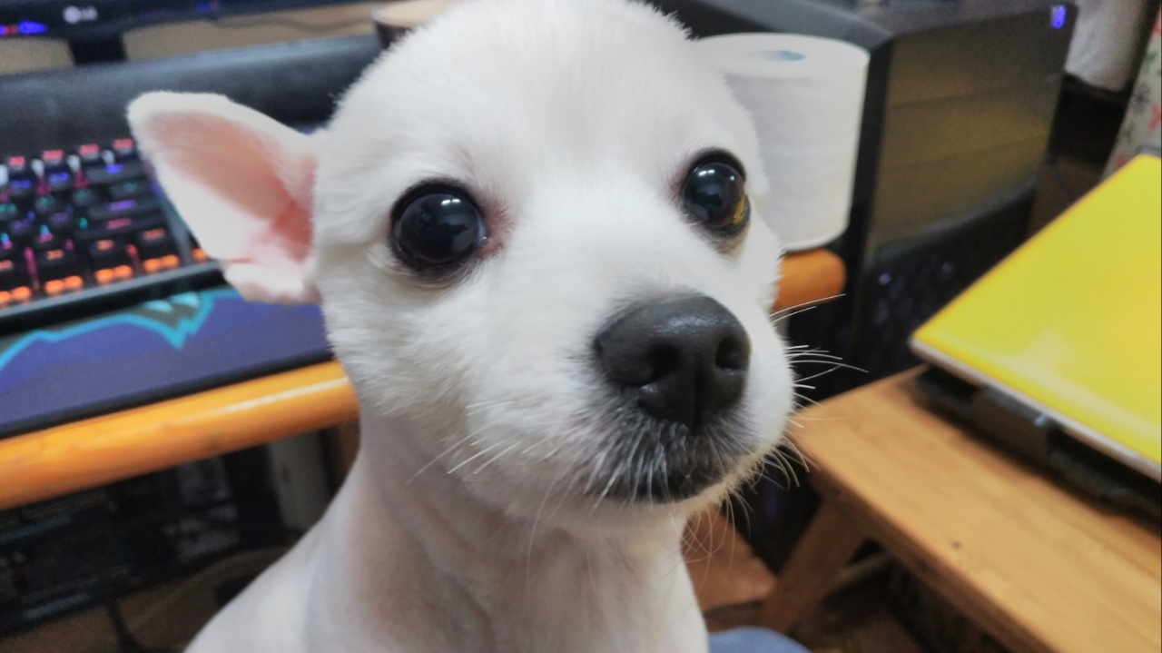 260224 신촌 나나.jpg