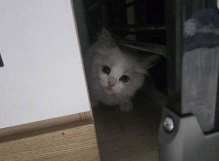 260225 영등포 소이.jpg