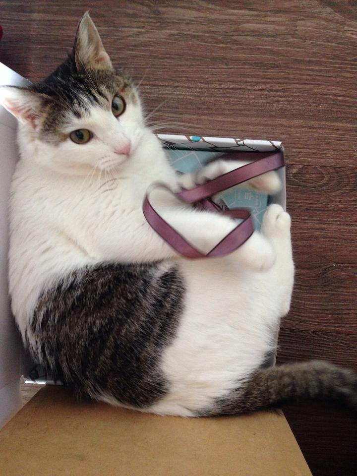 260225 용산 미고.jpg