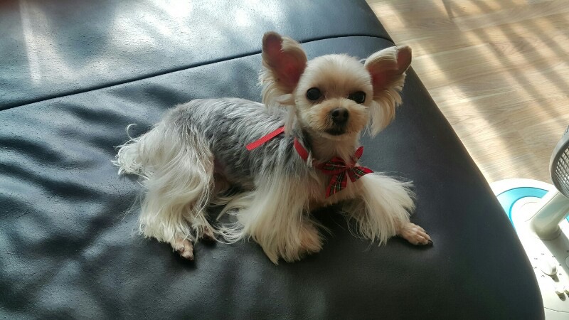 260227 미추홀 크림이.jpg