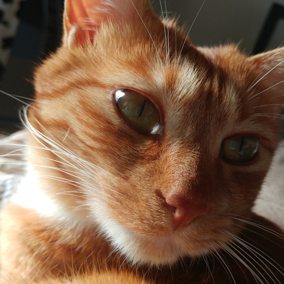 260302 서울 중구 호박이.jpg