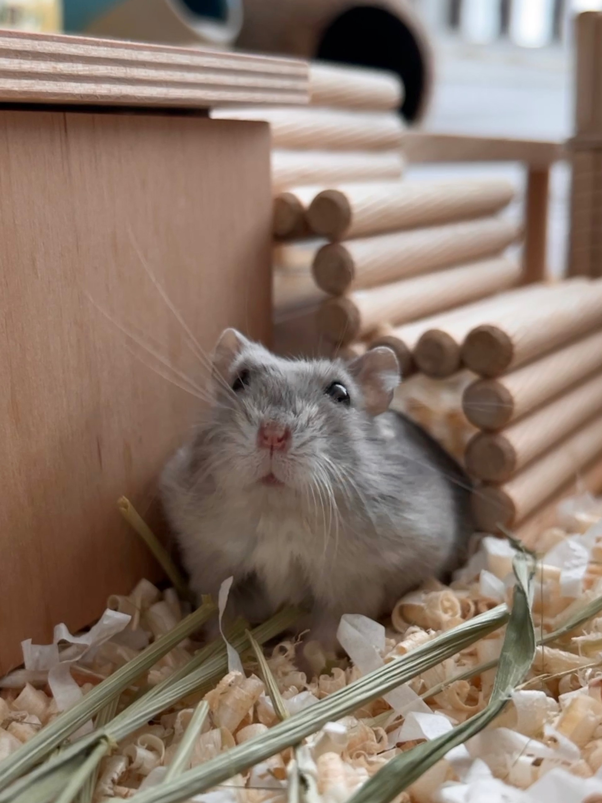 260302 수원 땅콩이.jpg