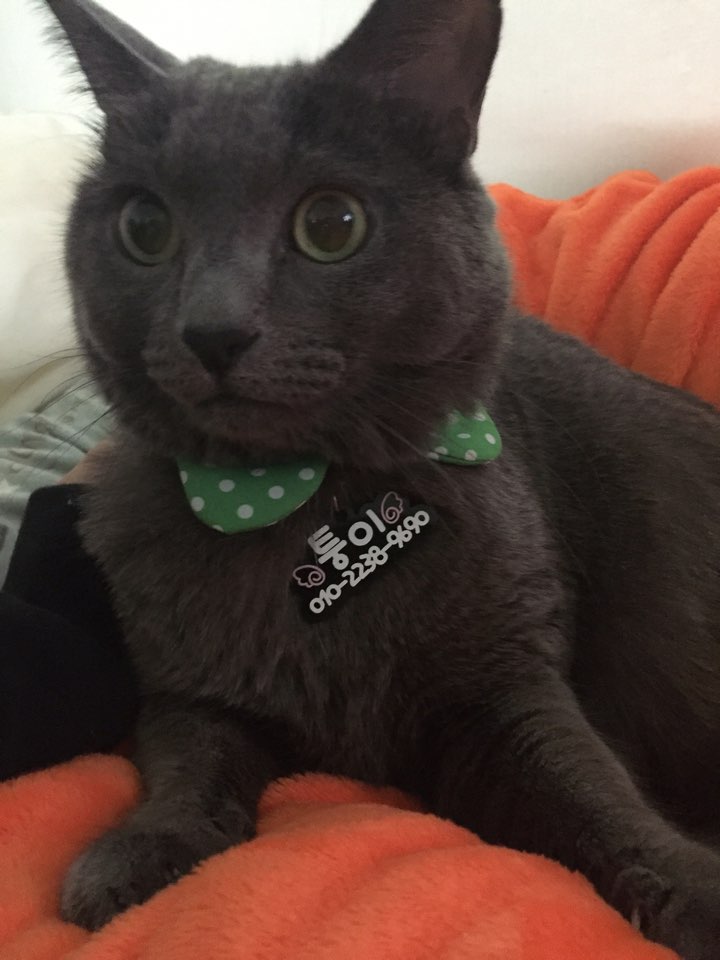 260302 신림 퉁이.jpg