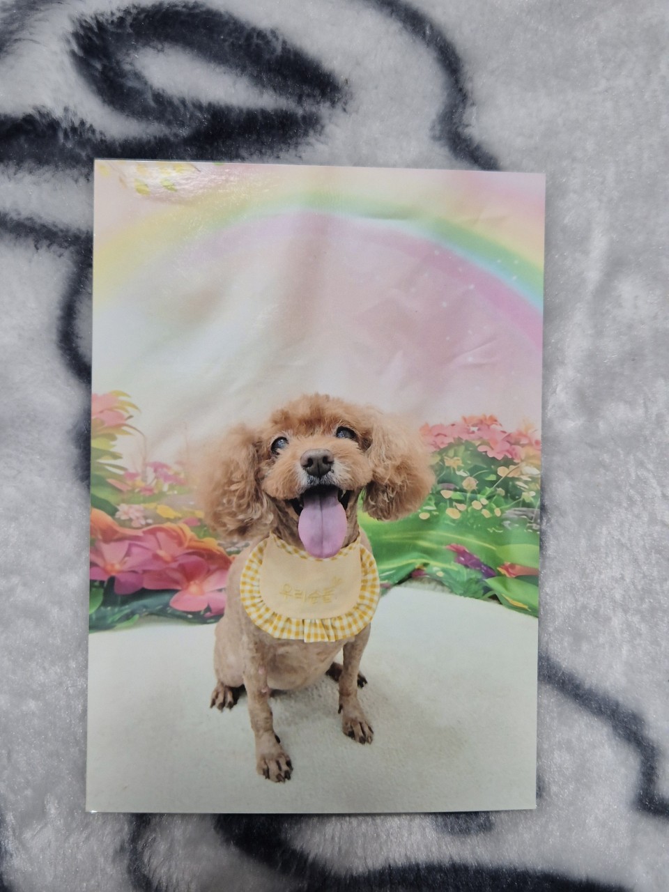 260302 안산 안나.jpg