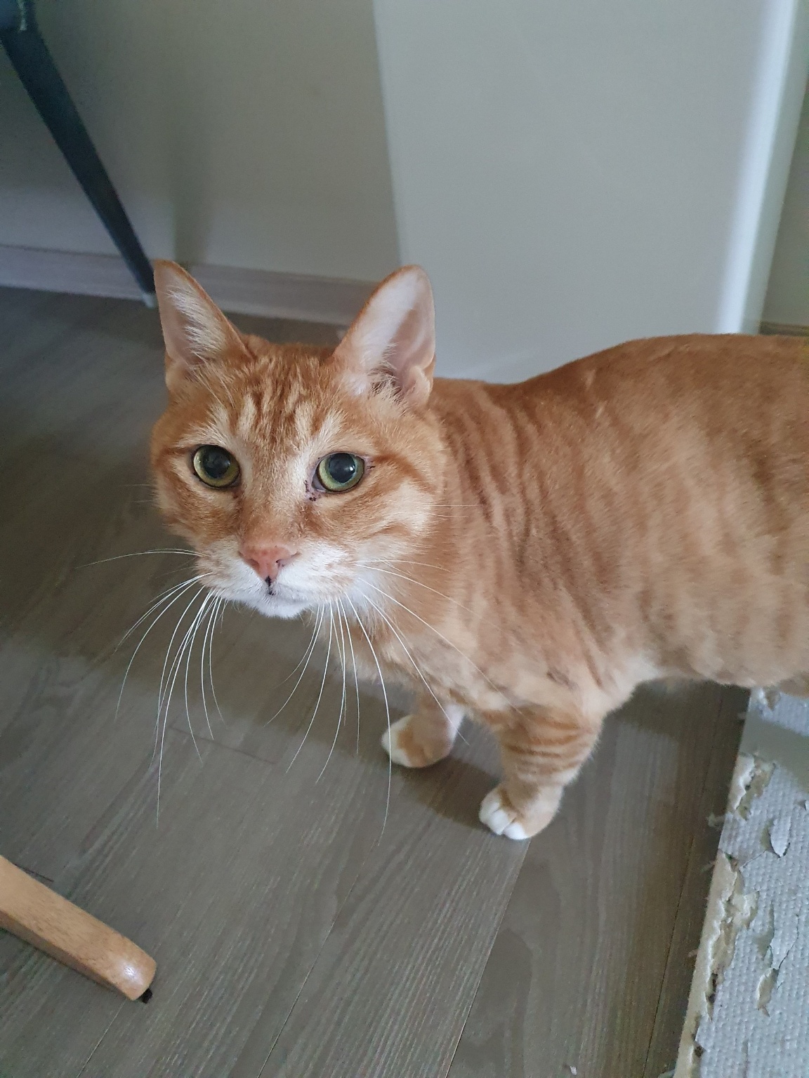 260306 시흥 찬밥이.jpg