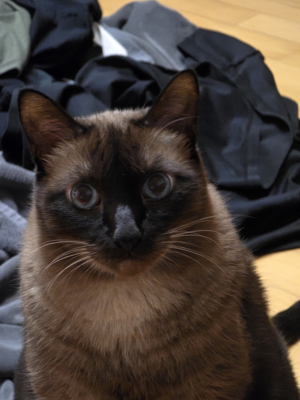 260307 안양 차우.jpg