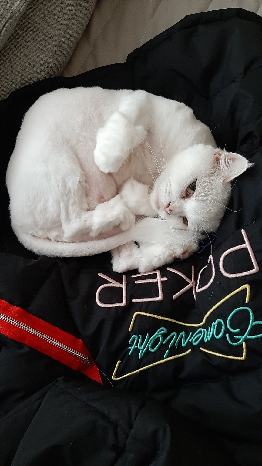 260308 부천 희야.jpg