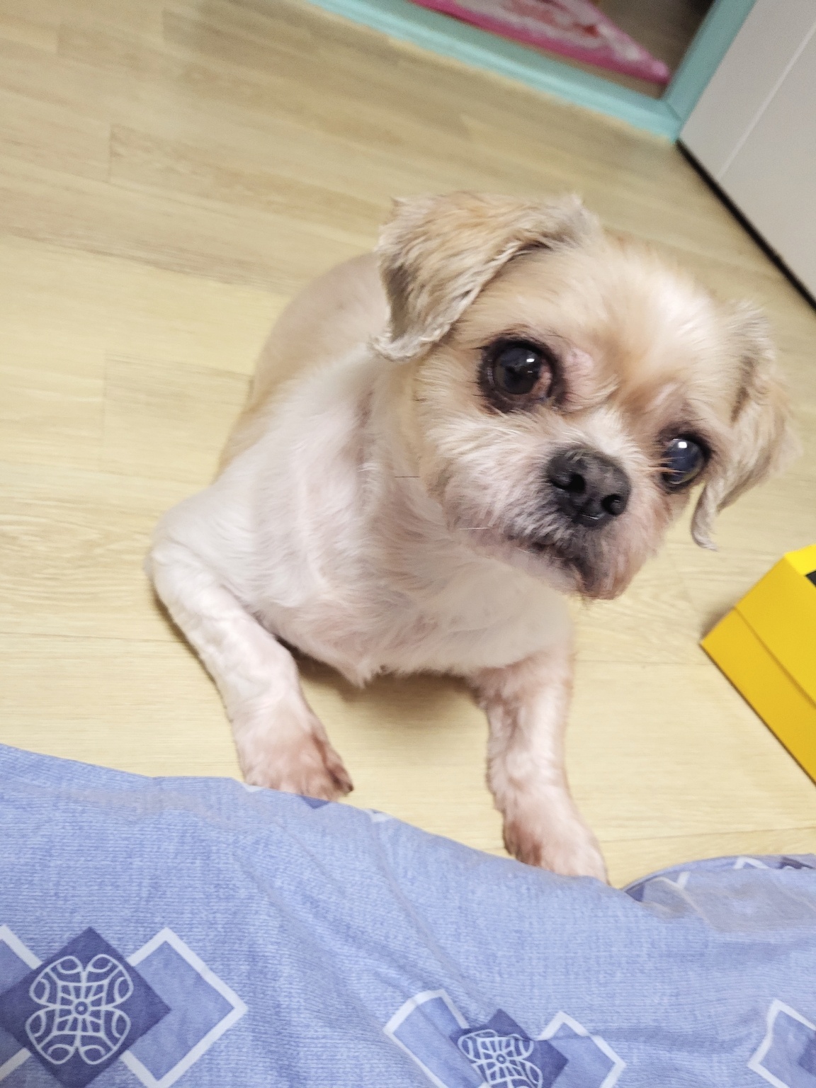 260309 부평 다롱.jpg