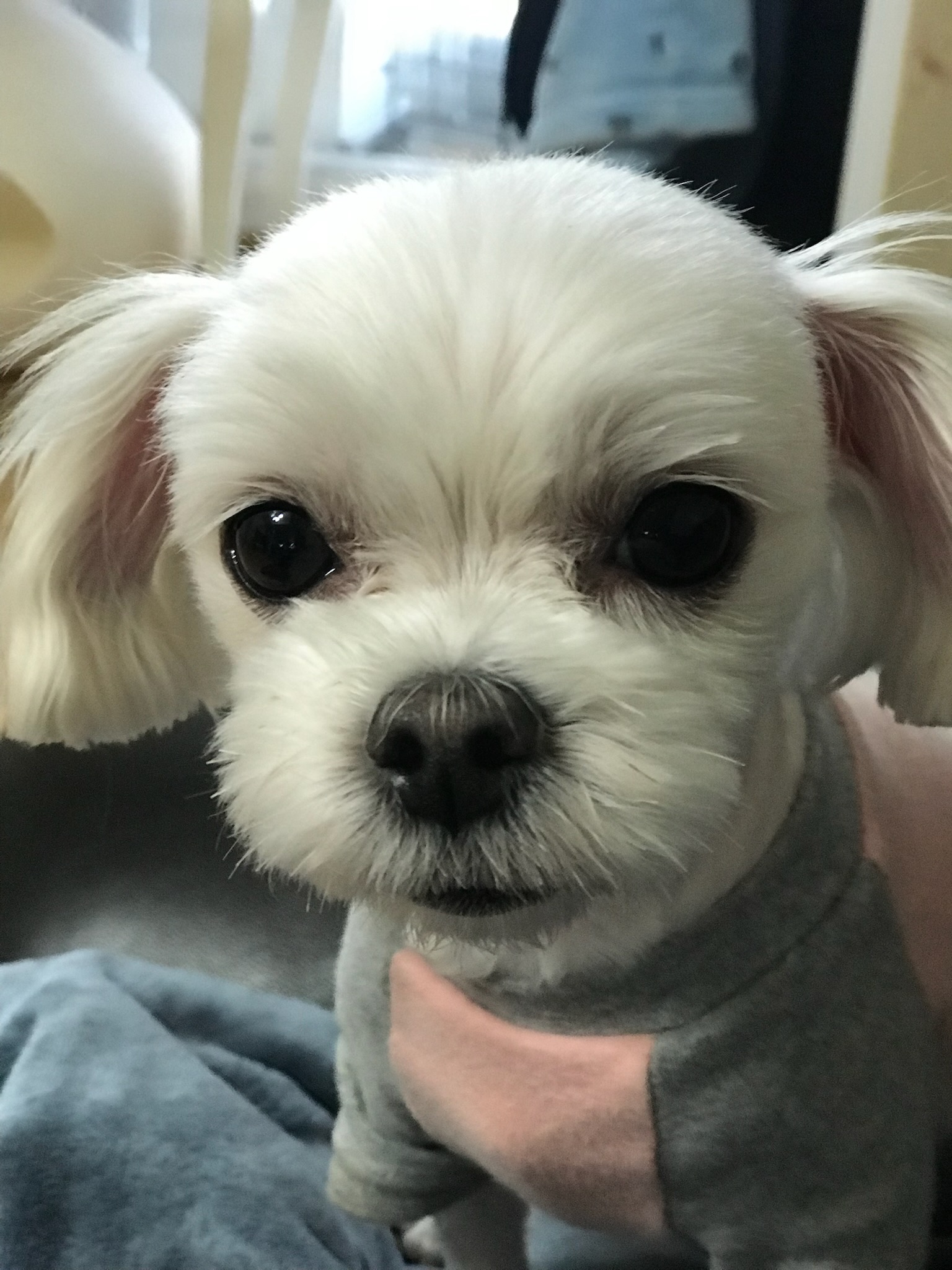 260309 시흥 두나.jpg