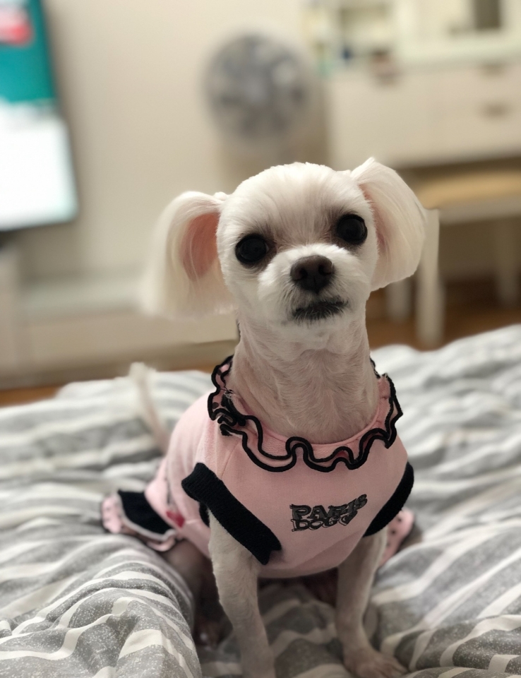 260309 안양 구름.jpg