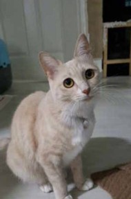 260225 문학동 크림이.jpg