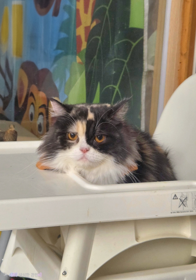 260311 남동구 요미.jpg