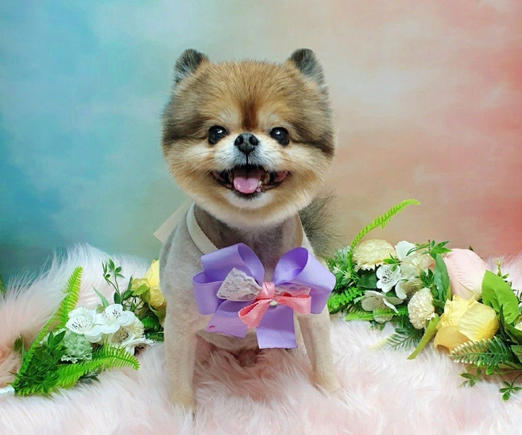 260315 남동구 재롱이.jpg