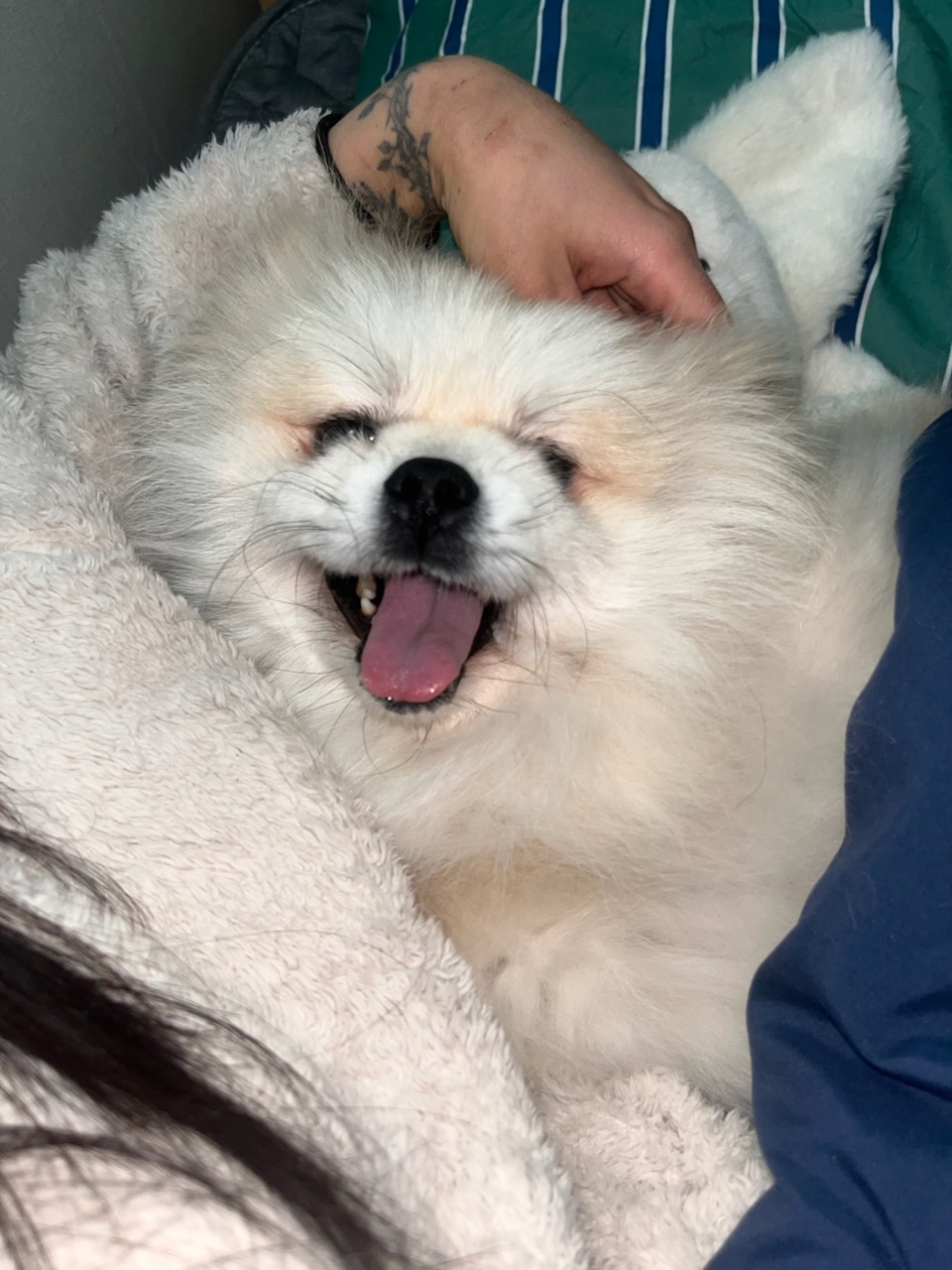 260315 안산 동식이.jpg