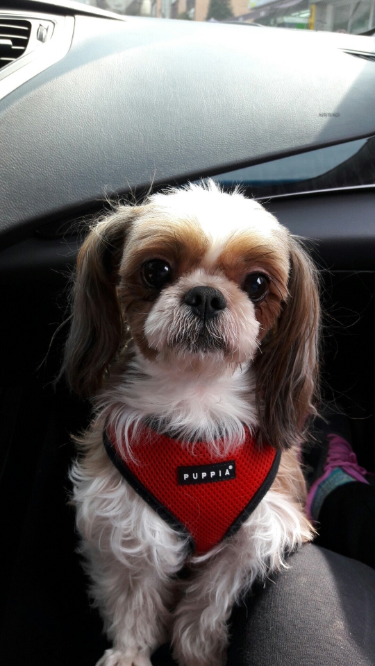 260316 과천 콩알이.jpg