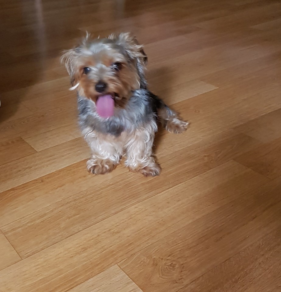 260316 부평 똘이.jpg