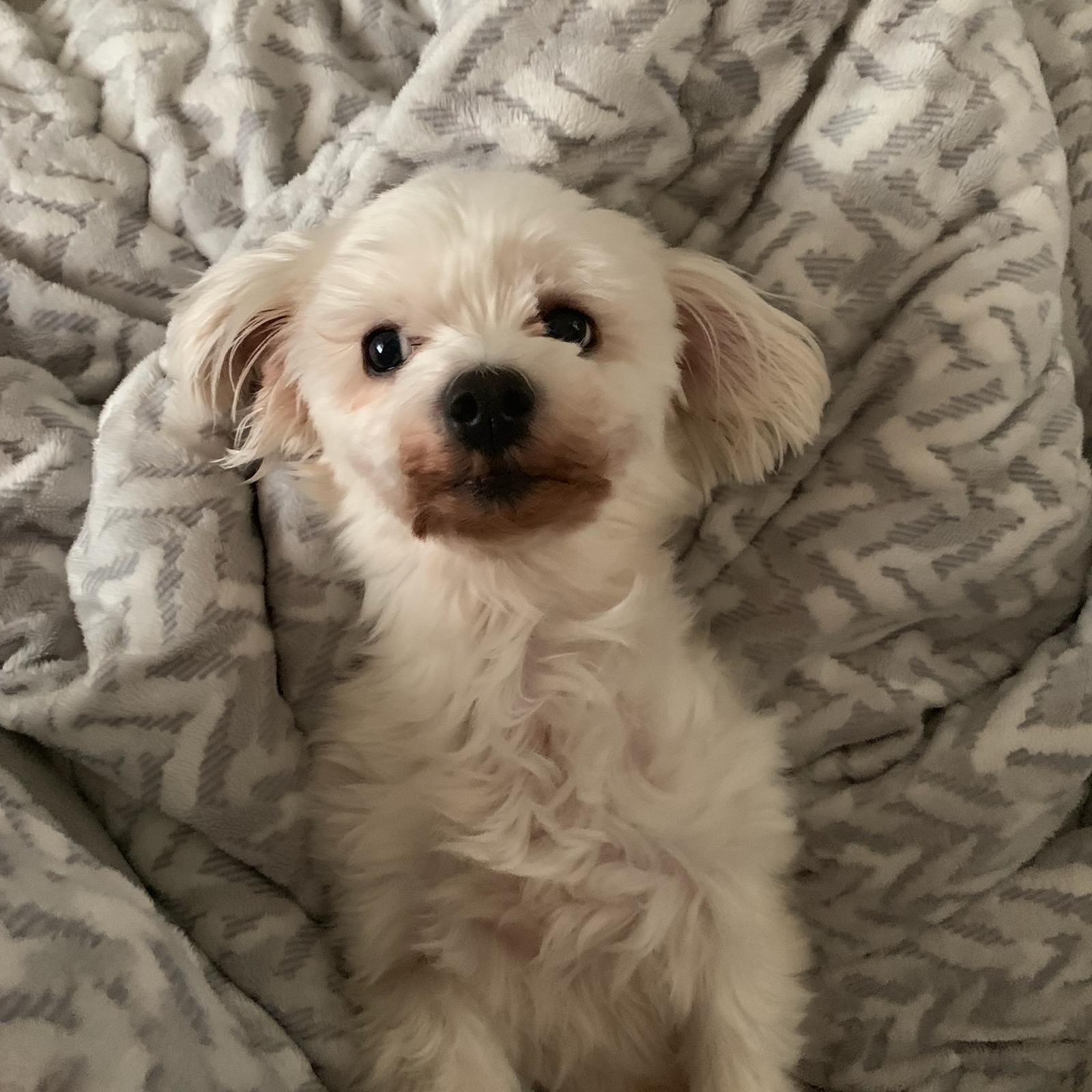 260316 안산 사랑이.jpg