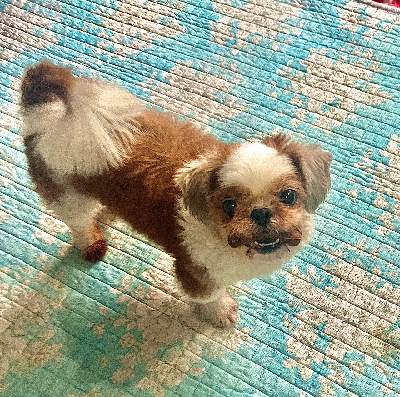 260316 안상 동동.jpg