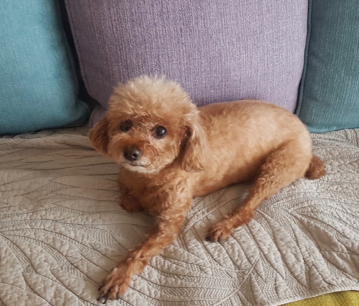 260319 시흥 가을이.jpg