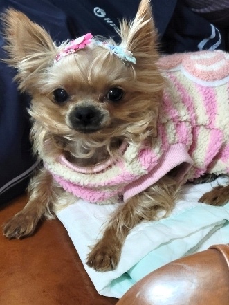 260319 시흥 콩알이.jpg