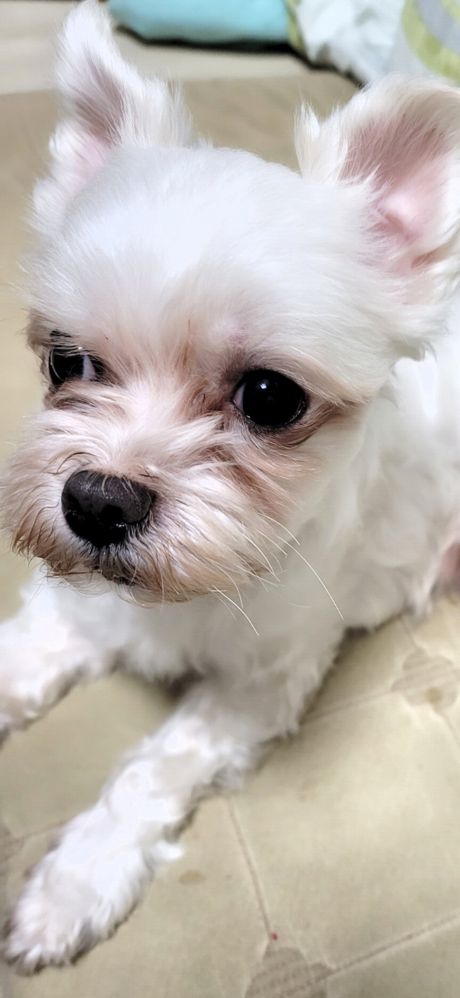 260319 인천동구 점이.jpg