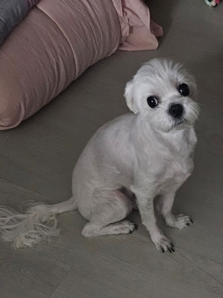 260320 시흥 멋찌.jpg