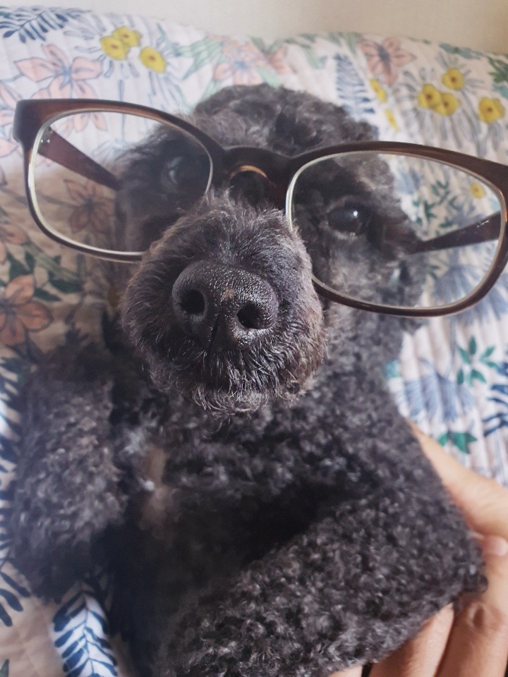 260320 안양 쿠키.jpg