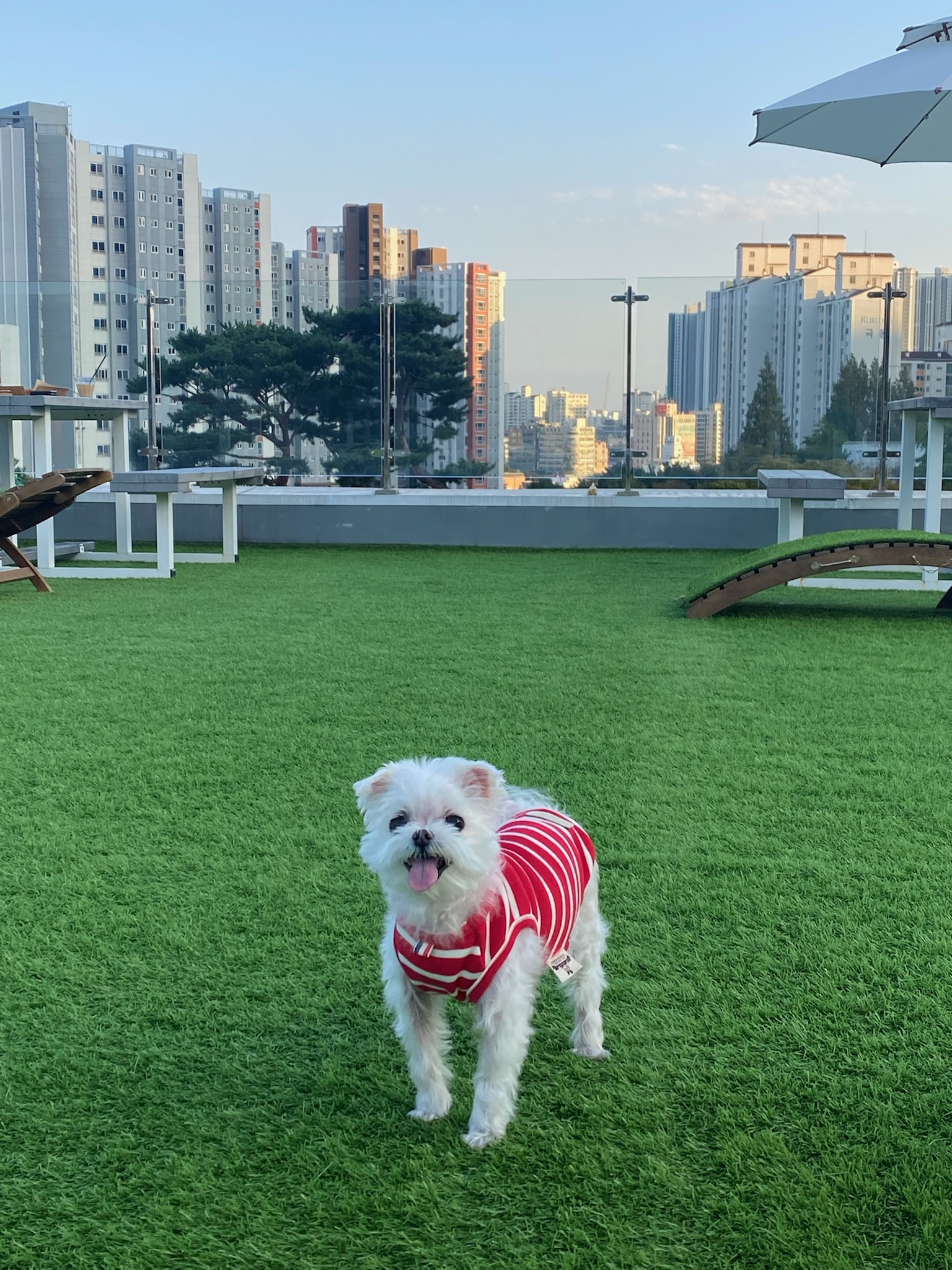 260322 시흥 깔끔이.jpg