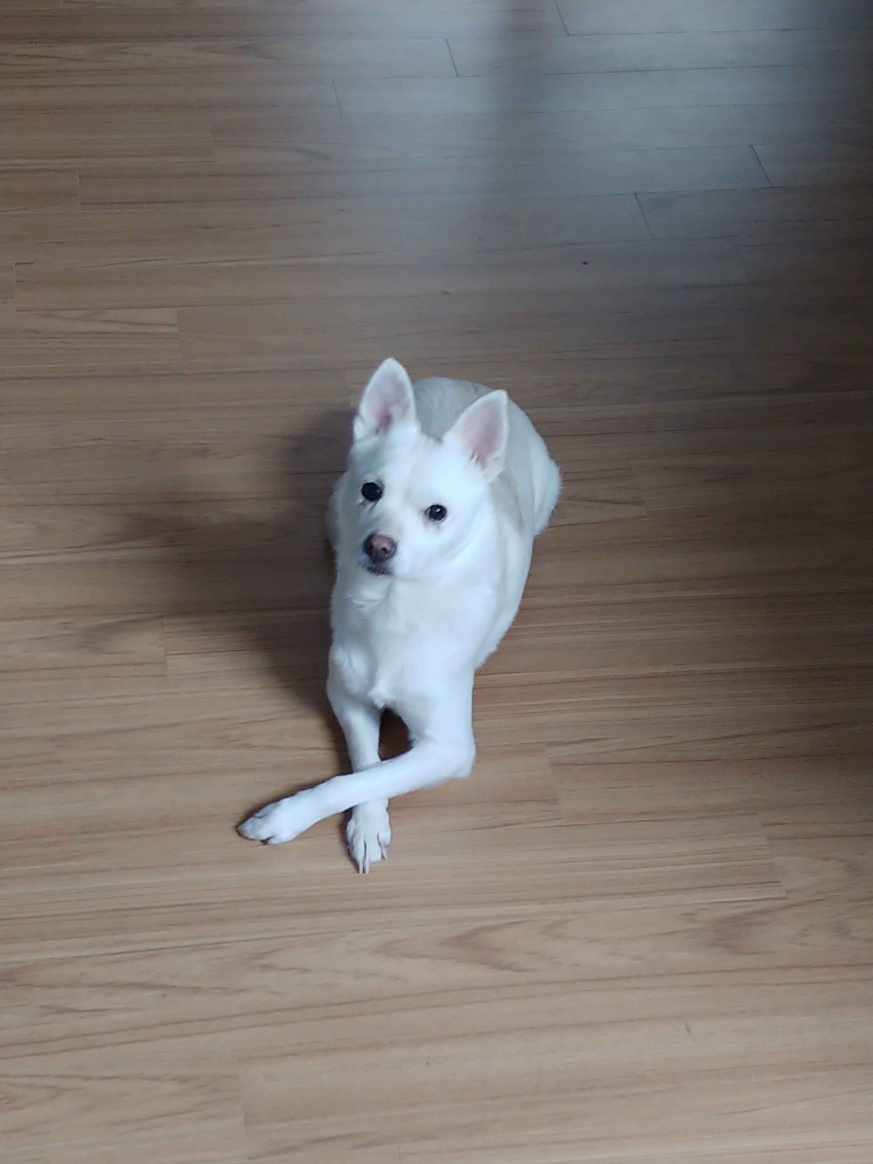 260322 양평 뭉크.jpg