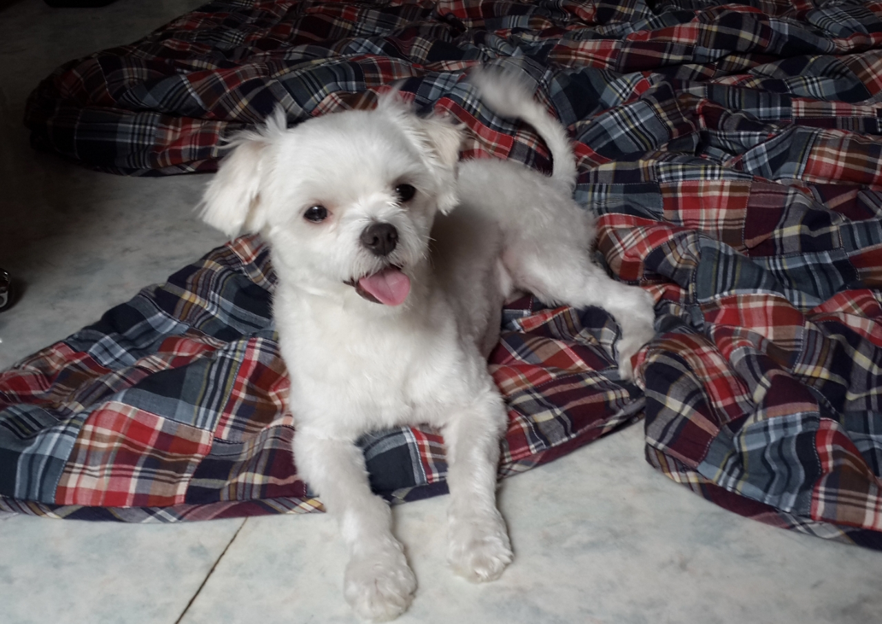 260323 방배동 밀크.jpg